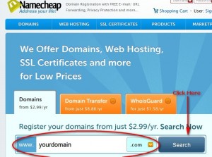 Check Domain Availability