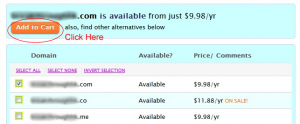 Domain search results