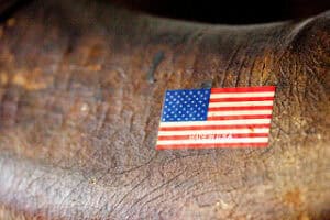 How the Push to Buy American Could Impact the U.S. Defense Supply Chain